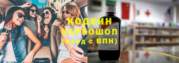 хмурый Кодинск