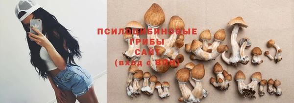 хмурый Кодинск