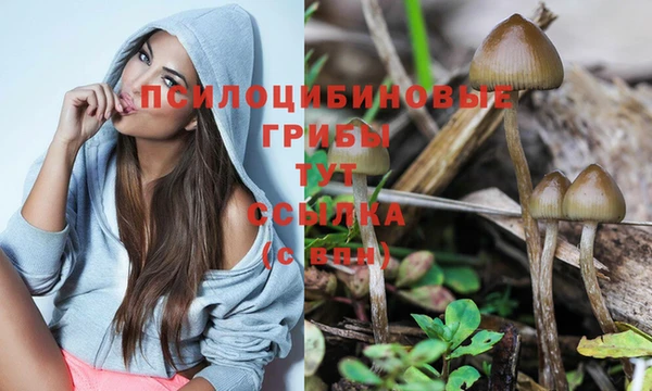 а пвп мука Дубовка