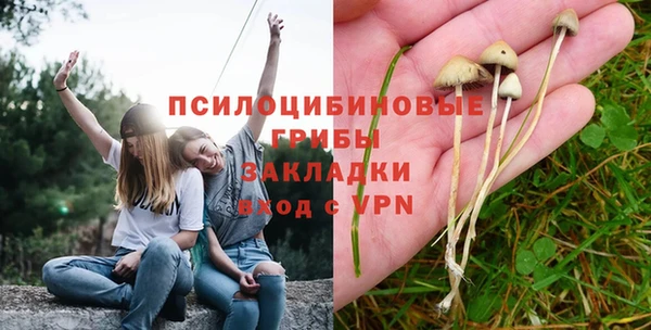 хмурый Кодинск