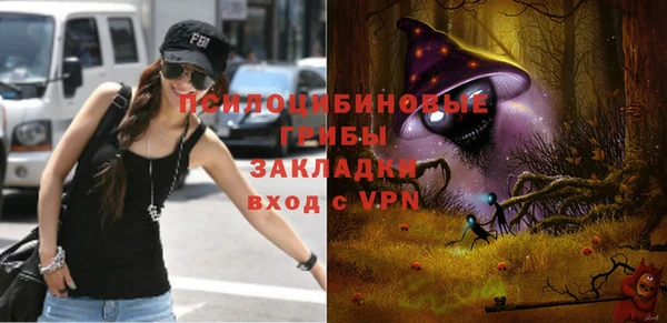 mdpv Козельск