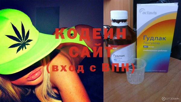 хмурый Кодинск