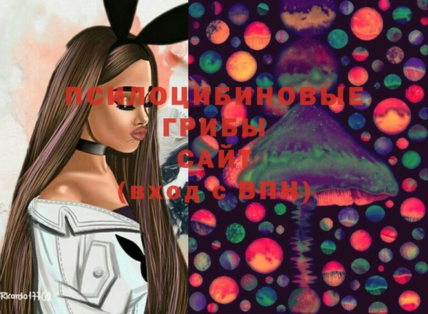 хмурый Кодинск
