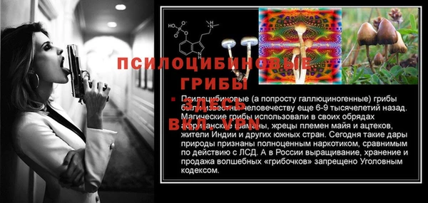 mdpv Козельск